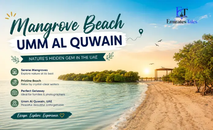 Mangrove Beach Umm Al Quwain | Location, Activities, Timing and Visitor Guide